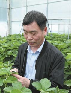 游泳馆和综合训练馆）项目的技术总负责